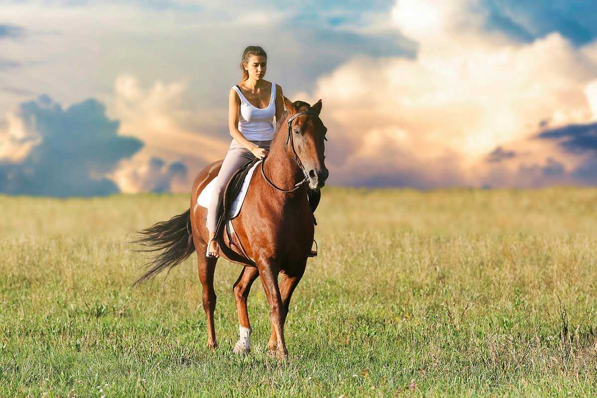 Horseback riding