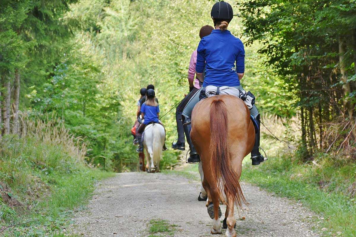 Horseback riding